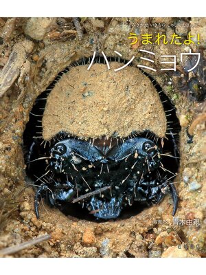 cover image of うまれたよ!ハンミョウ